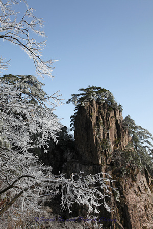 Huang Shan-Ice covred Pine