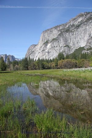 Yosemite Meadow reflection