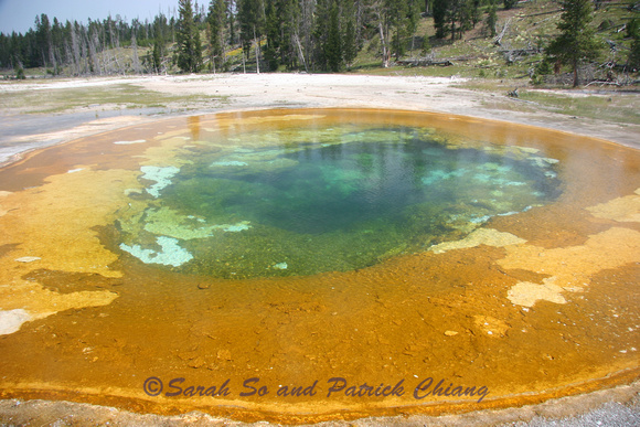 Yellowstone Beauty Pool