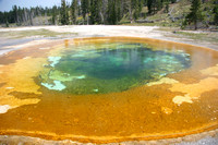 Yellowstone Beauty Pool